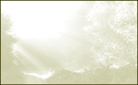 wp32f565a5.png