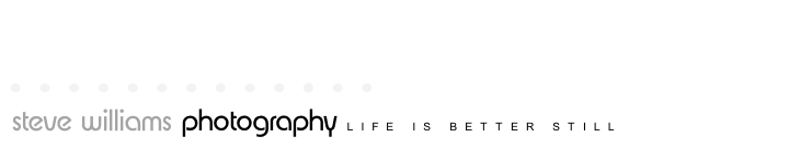 wp3e552876.png